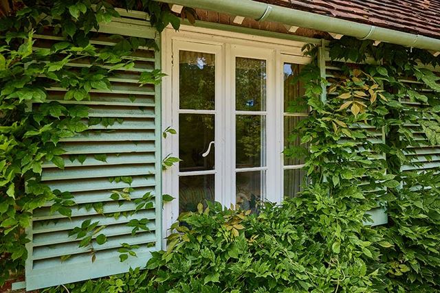 Secondary glazing white window unit leafy exterior