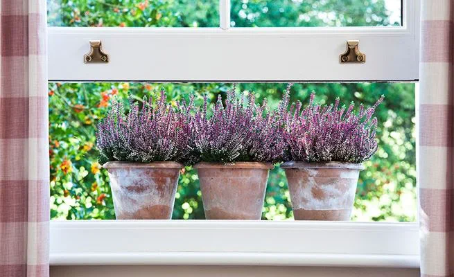 Close up of open White UPVC sash window with cottage bars and gold sash pull window furniture from Anglian Home Improvements